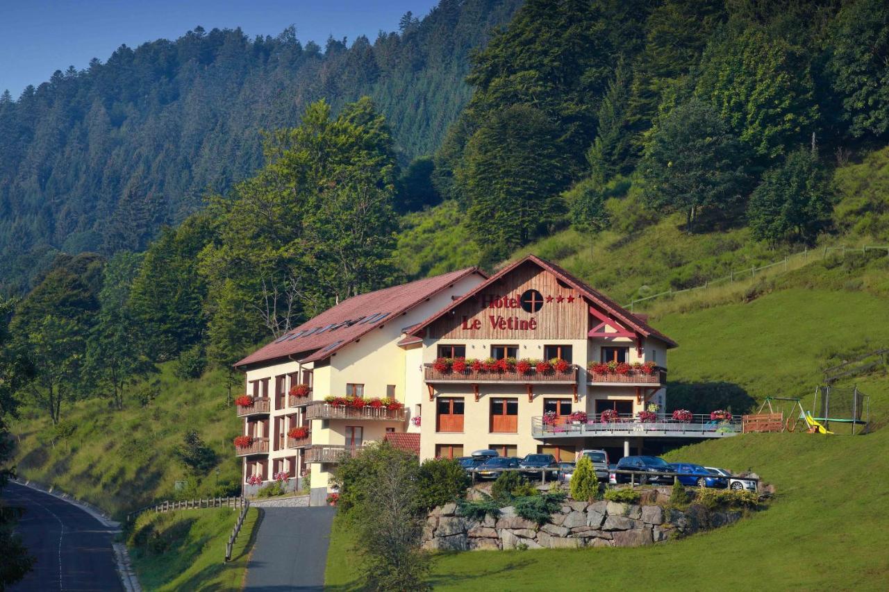 Logis Hotel Le Vetine Ле-Вальтен Экстерьер фото