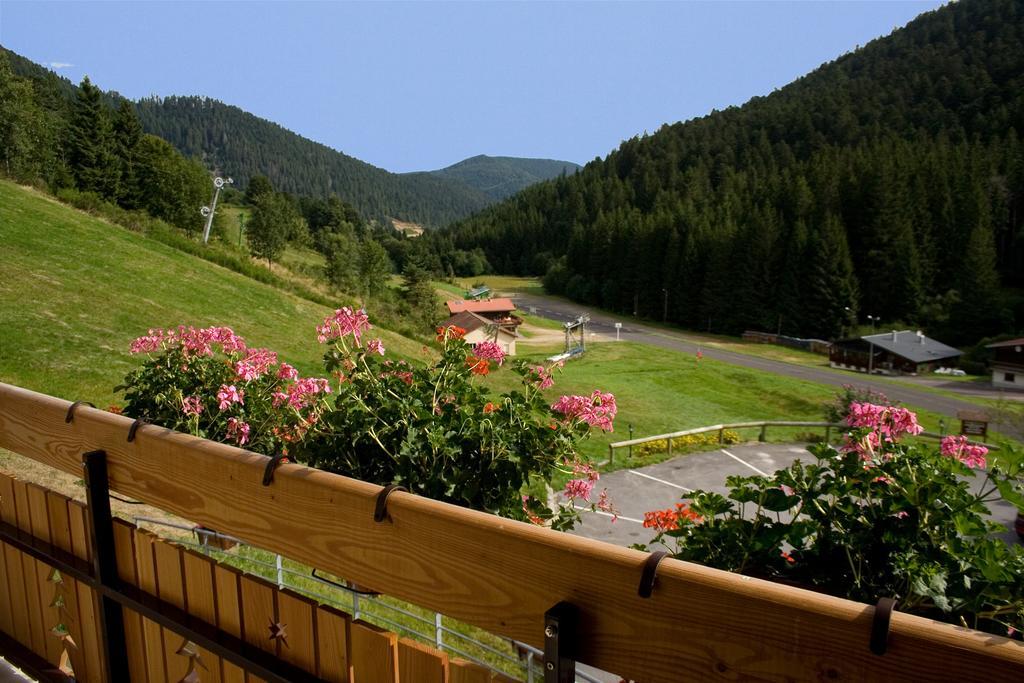 Logis Hotel Le Vetine Ле-Вальтен Экстерьер фото