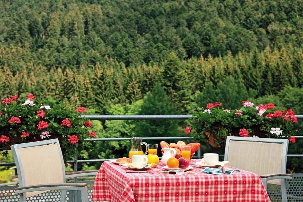Logis Hotel Le Vetine Ле-Вальтен Экстерьер фото